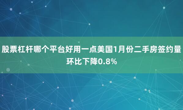 股票杠杆哪个平台好用一点美国1月份二手房签约量环比下降0.8%